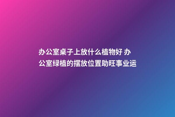 办公室桌子上放什么植物好 办公室绿植的摆放位置助旺事业运